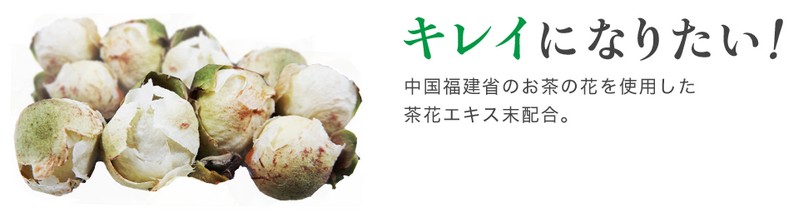 TBCおいしいフルーツ青汁ダイエット