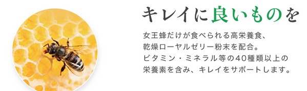 TBCおいしいフルーツ青汁ダイエット